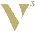 VI3NNA Congress